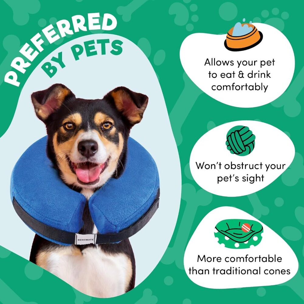Blue Inflatable Dog Cone Collar Alternative,